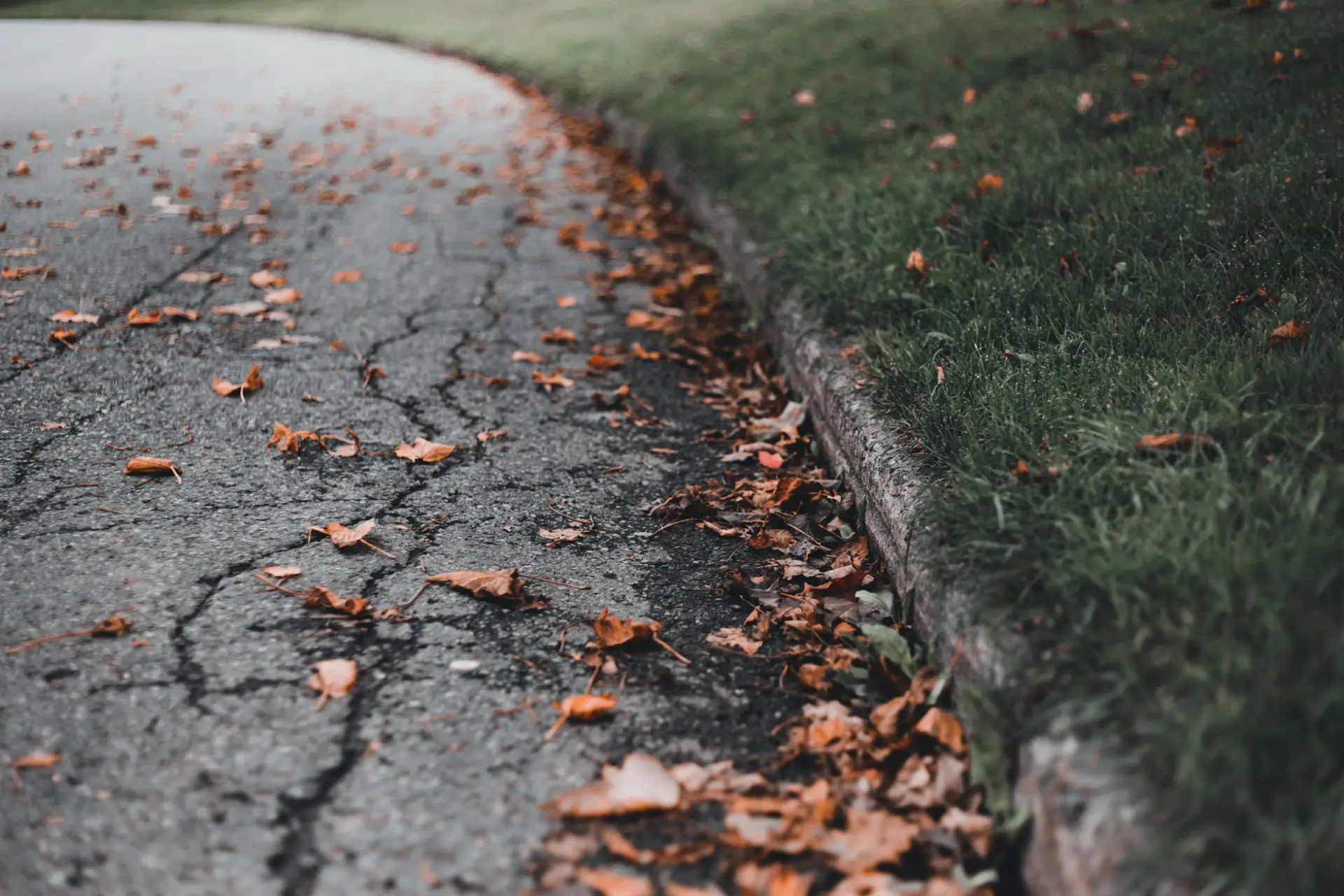 Crumbling concrete edge along a pavement with fallen autumn leaves collecting against it